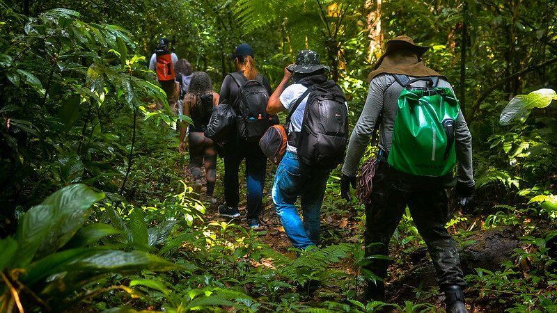Trilha na Mata Atlântica em Bertioga Grupo percorre trilha em meio à Mata Atlântica em Bertioga