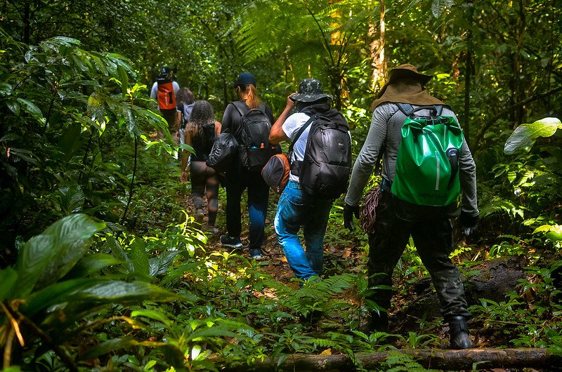 Grupo percorre trilha em meio à Mata Atlântica em Bertioga