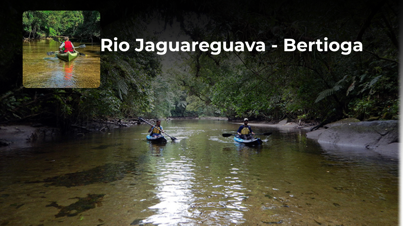 jaguareguava