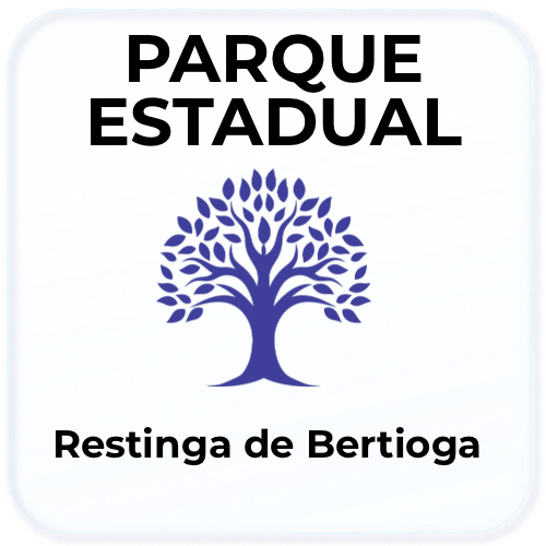 Mata Atlântica no Parque Estadual Restinga de Bertioga