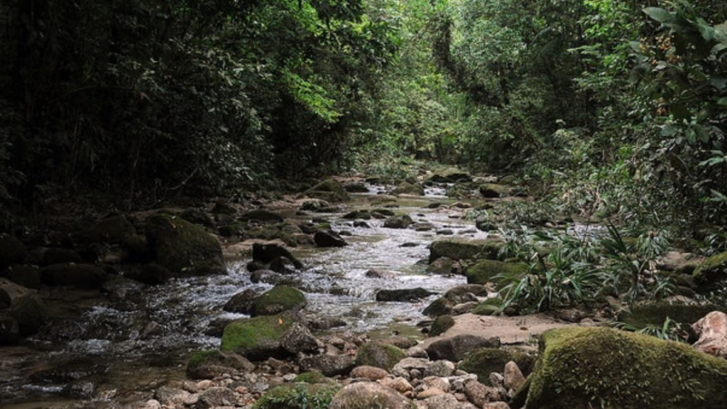 Foto: Prefeitura de Bertioga/Dirceu Mathias
